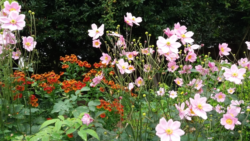 Alverstoke Crescent Garden